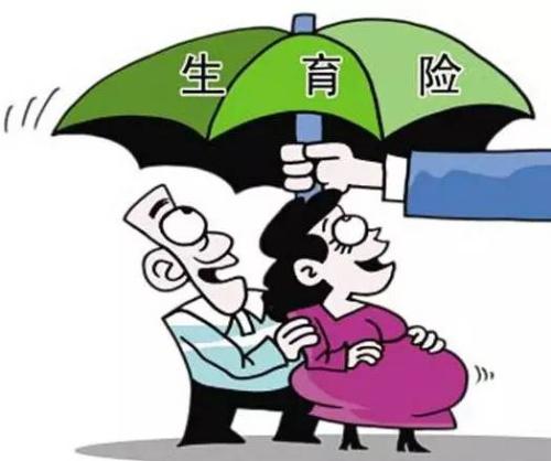 女性生育保險(xiǎn)能報(bào)多少錢(qián)？ 第1張