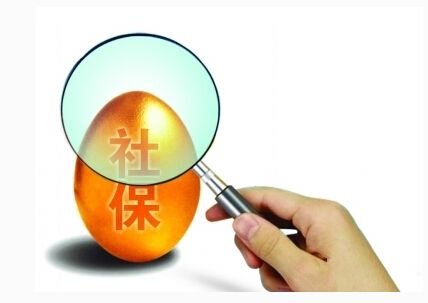 個(gè)人社保繳費(fèi)查詢怎么查？ 第1張