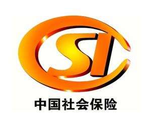 保險(xiǎn)監(jiān)管是什么意思？ 第1張
