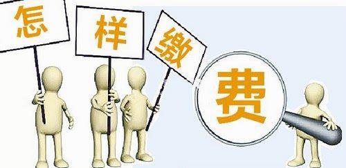 什么公司可以代繳養老保險？ 第1張